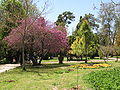 Eram park,shiraz.jpg