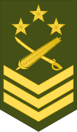 File:Ethiopia-Army-OR-9b.svg