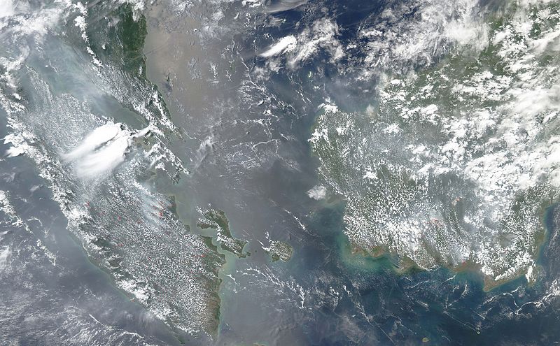 File:Fires on Borneo and Sumatra, Natural Hazards DVIDS750973.jpg