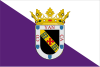 Flag of Valencia de Don Juan / Coyanza