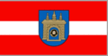 Vlag van Skuodas