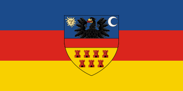 Неофіційний варіант прапора, що використовується в Трансильванії