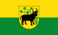 Flagge der Stadt Güstrow.svg