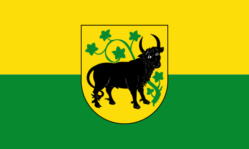 File:Flagge der Stadt Güstrow.svg