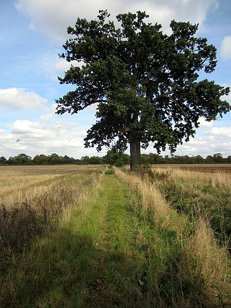 File:Footpath to Southill Road - geograph.org.uk - 4191220.jpg