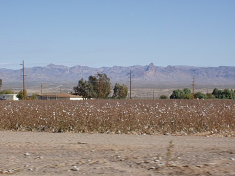 Reserva índia Fort Mojave