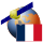 France-Satellite.svg