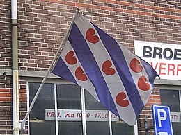 Vlag Van Friesland: Beschrijving, Symboliek, Gebruik