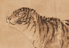 Detail of a Tiger