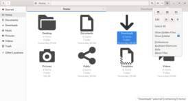 Скриншот программы GNOME Files