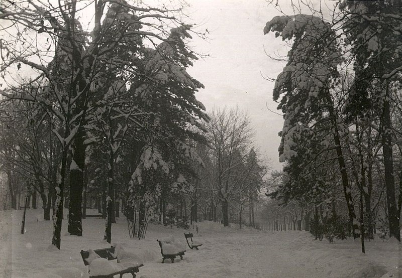 File:Gabinio.Torino-Parco Del Valentino Sotto La Neve 094B13.jpg