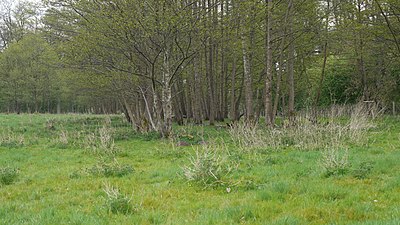 Naturreservat Gantofta: Naturreservat i Skåne län