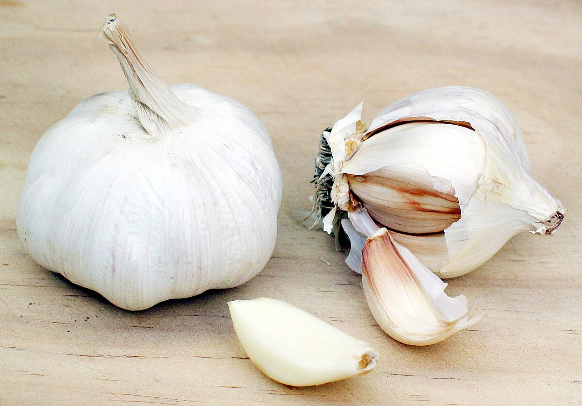 Garlic Wiktionary