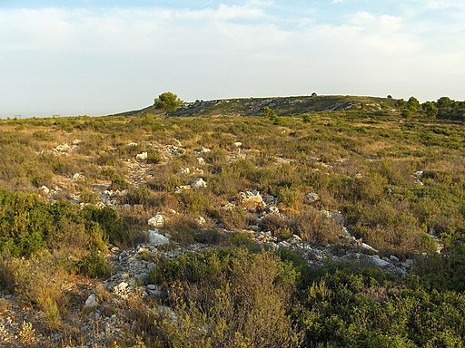 Garrigue à La Couronne (commune de Martigues, Bouches-du-Rhône, France)