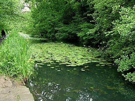 Glamorganshire Canal by George Tod