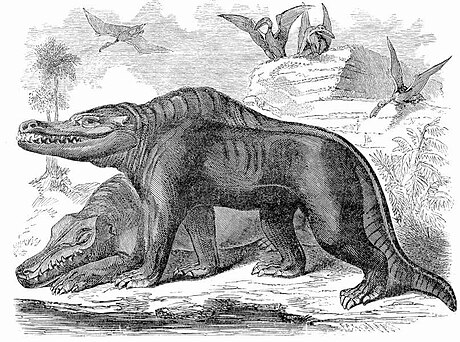 File:Goodrich Megalosaurus.jpg