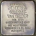 image=https://commons.wikimedia.org/wiki/File:Goudsmit-van_Gelder,_Henderina_-_H.W._Mesdagstraat_71A.jpg