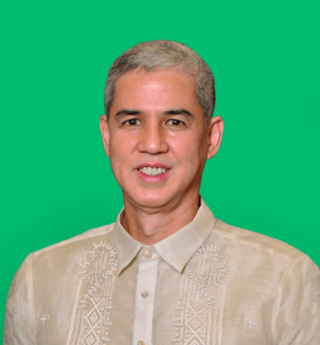 <span class="mw-page-title-main">Governor of Negros Occidental</span> Head of the provincial government