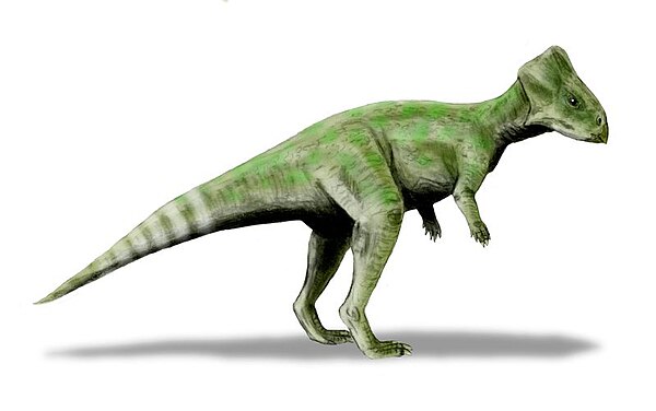 Life restoration