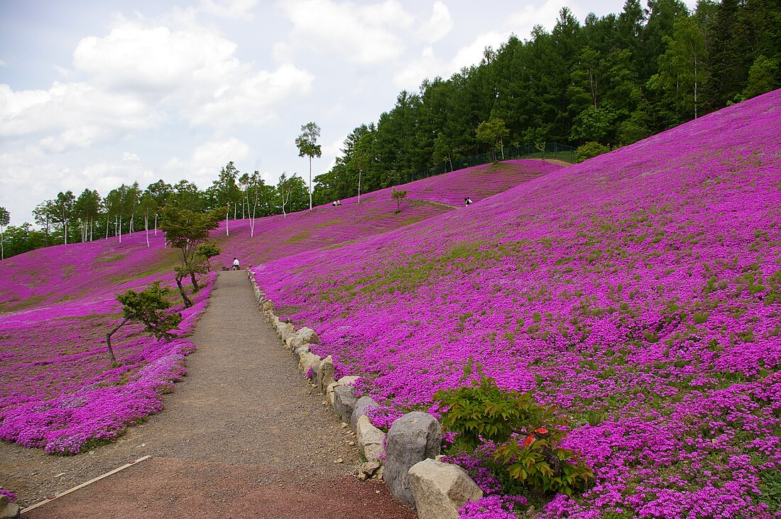 瀧上町