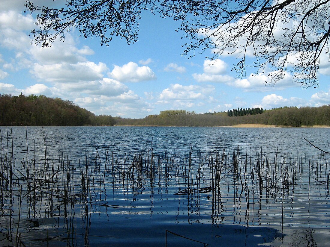 File:Großer Wentowsee 23-04-2010 084.jpg