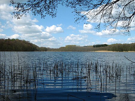 Großer Wentowsee 23 04 2010 084