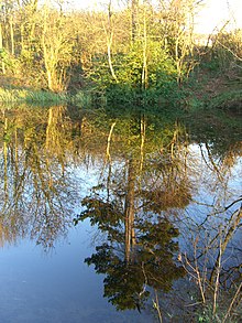 Pond at Gynsills Nature Reserve Gynsills nature reserve.JPG