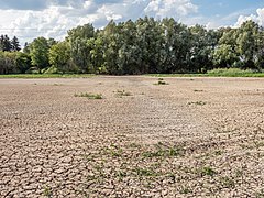 Hallstadt Teich-20180809-RM-164343.jpg