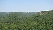 Thumbnail for Appalachian mixed mesophytic forests