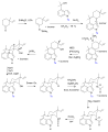 Vorschaubild der Version vom 11:12, 19. Jan. 2011