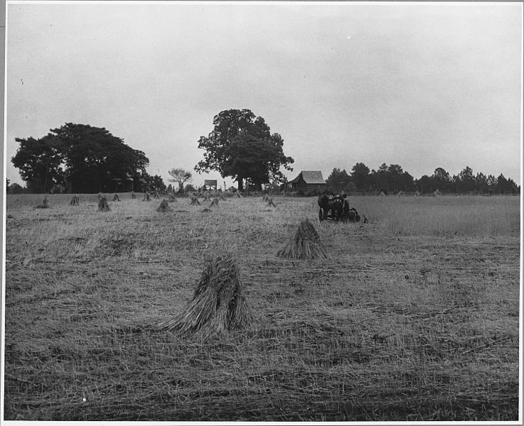 File:Harmony Community, Putnam County, Georgia.... Binders are not uncommon on large farms, but those who . . . - NARA - 521332.jpg