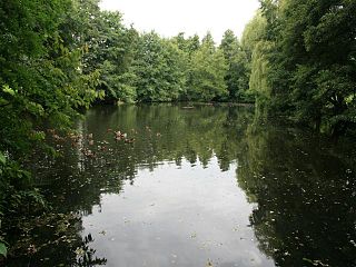 Kranenbach River in North Rhine-Westphalia, Germany