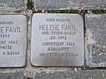 Helene Fantl Stolperstein Dresden.JPG