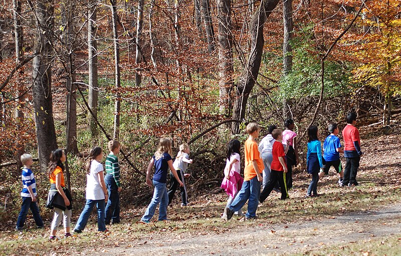 File:Hemlock Overlook - Red light Green light - 01.jpg