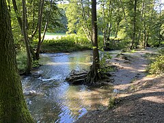 Naturschutzgebiet Neandertal: Beschreibung, Siehe auch, Weblinks