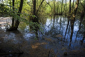 Nature reserve Huronensee (May 2016)