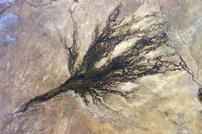 File:ISS-48 Okavango Delta, Botswana.jpg