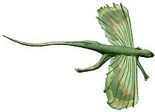 Icarosaurus white background.jpg