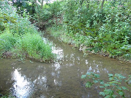 The Ichte discharges (from top) into the Helme Ichtemundung.jpg