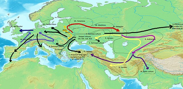 Scheme of Indo-European language dispersals from c. 4000 to 1000 BCE according to the widely held Kurgan hypothesis. – Center: Steppe cultures 1 (blac