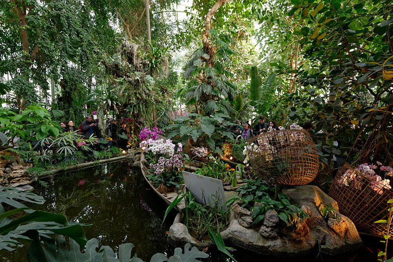 File:Interior main greenhouse Jardin des Plantes 2013-03-15 n04.jpg