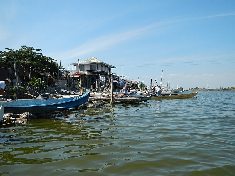 File:Jf0031Atlag River Masile Mangroves Boats Malolosfvf 28.JPG