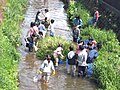 侍従川のサムネイル