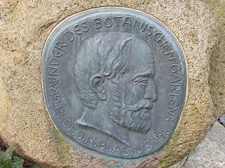 Johann Heinrich Blasius German zoologist