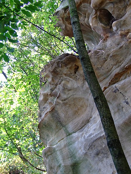 File:Kralupy nad Vltavou, Lobečská skála IV.jpg