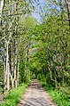 * Nomination Cycle and hiking path “Grafschafter Rad- und Wanderweg” in Krefeld --Carschten 09:25, 26 April 2020 (UTC) * Promotion  Support Good quality. --Poco a poco 10:22, 26 April 2020 (UTC)