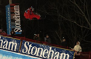 LG Snowboard FIS World Cup (5435326739).jpg