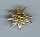 German Alpine Club logo pin.[15]