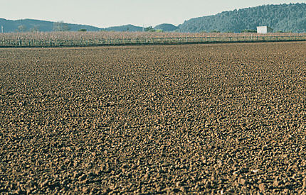 Torre Marimon - Caldes de Montbui (Vallès Oriental), 28 de novembre de 1996