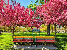 Leslie Grove Park in 2020. Leslieville's iconic multi-colour benches.jpg